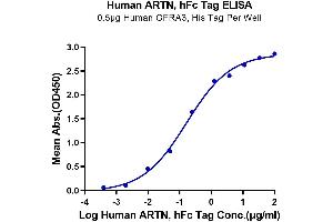 Immobilized Human GFRA3, His Tag at 5 μg/mL (100 μL/well) on the plate. (ARTN Protein (AA 108-220) (Fc Tag))