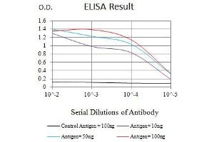 Black line: Control Antigen (100 ng),Purple line: Antigen (10 ng), Blue line: Antigen (50 ng), Red line:Antigen (100 ng) (CD300c antibody  (AA 21-183))