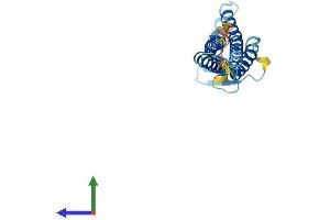 AlphaFold protein structure predicition of Mouse Recombinant Cldn3 Protein, UniprotID Q9Z0G9 (Claudin 3 Protein (CLDN3) (AA 1-219) (His tag))