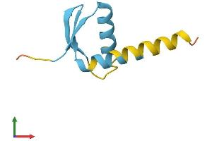 Protein Structure (PS) image for General Transcription Factor IIH, Polypeptide 5 (GTF2H5) (AA 1-71) protein (Fc Tag) (ABIN7544400)