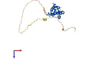 MORF4L2 Protein (AA 1-288) (His tag)