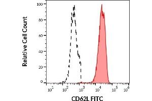 Separation of human neutrophil granulocytes (red-filled) from CD62L negative lymphocytes (black-dashed) in flow cytometry analysis (surface staining) of human peripheral whole blood stained using anti-human CD62L (DREG56) FITC antibody (20 μL reagent / 100 μL of peripheral whole blood). (L-Selectin antibody  (FITC))