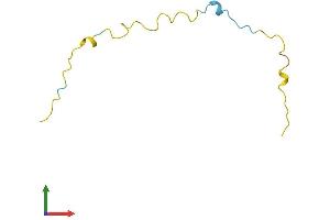 AlphaFold protein structure predicition of Human Recombinant PKIB Protein, UniprotID Q9C010 (PKIB Protein (AA 1-78) (Fc Tag))