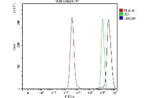Flow Cytometry analysis of Daudi cells using anti-UBC12/UBE2M antibody (ABIN7600885).