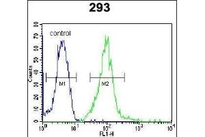 I2BP2 Antibody (Center) (ABIN654481 and ABIN2844216) flow cytometric analysis of 293 cells (right histogram) compared to a negative control cell (left histogram). (IRF2BP2 antibody  (AA 337-366))
