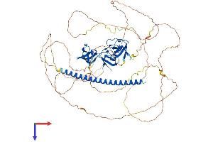 SH3KBP1 Protein (AA 1-709) (His tag)