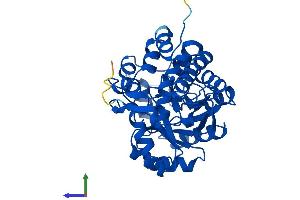 AlphaFold protein structure predicition of Mouse Recombinant Hao1 Protein, UniprotID Q9WU19 (HAO1 Protein (AA 1-370) (His tag))