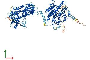AlphaFold protein structure predicition of Mouse Recombinant Atg7 Protein, UniprotID Q9D906