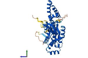 AlphaFold protein structure predicition of Mouse Recombinant Ola1 Protein, UniprotID Q9CZ30 (OLA1 Protein (AA 1-396) (His tag))