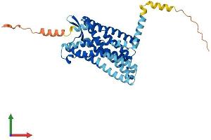 AlphaFold protein structure predicition of Mouse Recombinant Ccr1l1 Protein, UniprotID P51676 (CCR1L1 Protein (AA 1-356) (His tag))