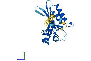 AlphaFold protein structure predicition of Human Recombinant AICDA Protein, UniprotID Q9GZX7