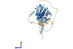 AlphaFold protein structure predicition of Mouse Recombinant Slc34a1 Protein, UniprotID Q60825 (Solute Carrier Family 34 (Type II Sodium/phosphate Contransporter), Member 1 (SLC34A1) (AA 1-637) protein (His tag))