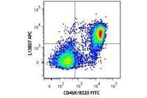 Flow Cytometry (FACS) image for anti-Chemokine (C-X-C Motif) Receptor 5 (CXCR5) antibody (APC) (ABIN2656983) (CXCR5 antibody  (APC))