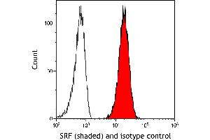 Flow Cytometry (FACS) image for anti-Serum Response Factor (SRF) (AA 25-75) antibody (ABIN7795719)