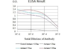 Black line: Control Antigen (100 ng),Purple line: Antigen (10 ng), Blue line: Antigen (50 ng), Red line:Antigen (100 ng) (CD177 antibody  (AA 22-161))