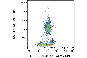 Surface staining of human peripheral blood cells with anti-CD55 (MEM-118) purified, GAM-APC. (CD55 antibody)