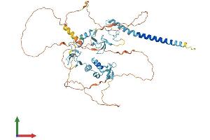Protein Structure (PS) image for Ring Finger Protein 217 (RNF217) (AA 1-542) protein (His tag) (ABIN7551450)