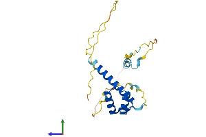 AlphaFold protein structure predicition of Mouse Recombinant Msx3 Protein, UniprotID P70354 (Homeobox, Msh-Like 3 (MSX3) (AA 1-204) protein (His tag))