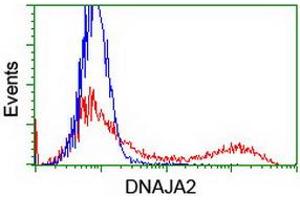 HEK293T cells transfected with either RC202204 overexpress plasmid (Red) or empty vector control plasmid (Blue) were immunostained by anti-DNAJA2 antibody (ABIN2454004), and then analyzed by flow cytometry. (DNAJA2 antibody)