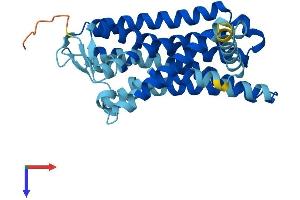 AlphaFold protein structure predicition of Human Recombinant OR2AG2 Protein, UniprotID A6NM03 (OR2AG2 Protein (AA 1-316) (His tag))