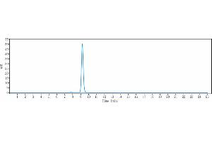 anti-CSF2 (Lenzilumab Biosimilar) antibody