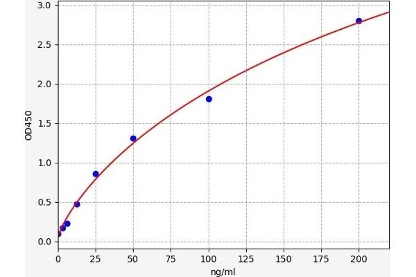MT1M ELISA Kit