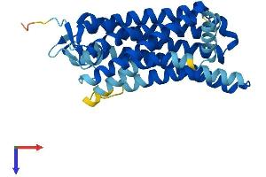 AlphaFold protein structure predicition of Human Recombinant OR5M3 Protein, UniprotID Q8NGP4 (OR5M3 Protein (AA 1-307) (His tag))