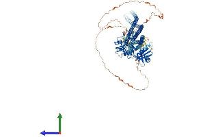 AlphaFold protein structure predicition of Mouse Recombinant Taok1 Protein, UniprotID Q5F2E8 (TAO Kinase 1 (TAOK1) (AA 1-1001) protein (His tag))