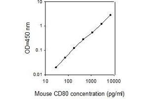 ELISA image for CD80 (CD80) ELISA Kit (ABIN2702903) (CD80 ELISA Kit)