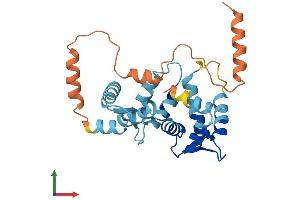 AlphaFold protein structure predicition of Mouse Recombinant Kcnip4 Protein, UniprotID Q6PHZ8