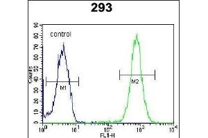 SAR1B Antibody (Center) (ABIN654355 and ABIN2844120) flow cytometric analysis of 293 cells (right histogram) compared to a negative control cell (left histogram). (SAR1B antibody  (AA 89-116))