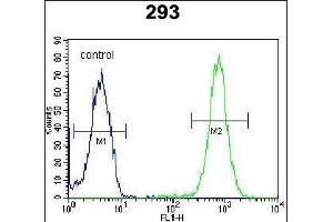 SAR1B Antibody (Center) (ABIN654355 and ABIN2844120) flow cytometric analysis of 293 cells (right histogram) compared to a negative control cell (left histogram). (SAR1B antibody  (AA 89-116))