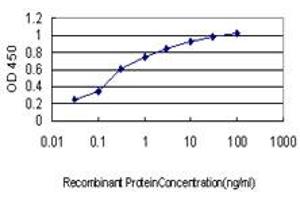 Detection limit for recombinant GST tagged EPHA2 is approximately 0. (EPH Receptor A2 antibody  (AA 204-326))