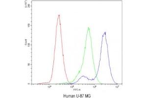 Flow cytometry testing of human U-87 MG cells with Factor I antibody at 1ug/10^6 cells (blocked with goat sera) (Complement Factor I antibody)
