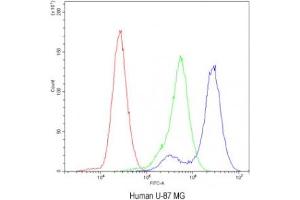 Flow cytometry testing of human U-87 MG cells with Factor I antibody at 1ug/10^6 cells (blocked with goat sera)