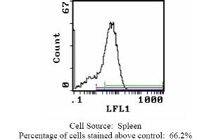 Mouse anti CD44 (HCAM) OX-49 (CD44 antibody  (Biotin))