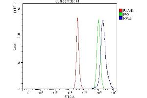 Flow Cytometry analysis of HepG2 cells using anti-RPL5 antibody (ABIN7601007).