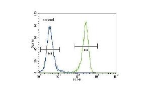 DDR1 Antibody (Center) (ABIN391458 and ABIN2841434) flow cytometric analysis of 293 cells (right histogram) compared to a negative control cell (left histogram). (DDR1 antibody  (AA 299-330))