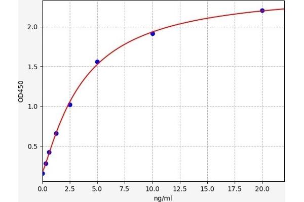 PFKM ELISA Kit