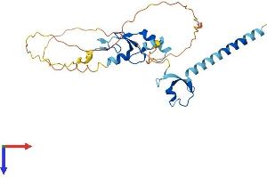 AlphaFold protein structure predicition of Human Recombinant TRIM52 Protein, UniprotID Q96A61