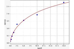 COLEC12 ELISA Kit