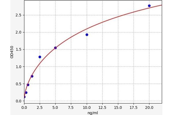 COLEC12 ELISA Kit