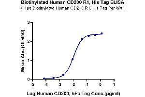 Immobilized Biotinylated Human CD200 R1, His Tag at 1 μg/mL (100 μL/Well) on the plate. (CD200R1 Protein (His-Avi Tag,Biotin))