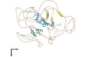 BCL11A Protein (AA 1-835) (His tag)