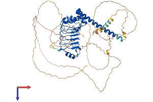 LRRC50 Protein (AA 1-634) (His tag)
