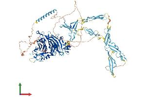 AlphaFold protein structure predicition of Human Recombinant SEMA5B Protein, UniprotID Q9P283