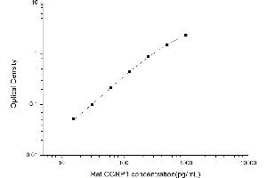 CGRP ELISA Kit