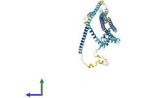 AlphaFold protein structure predicition of Mouse Recombinant Ccdc148 Protein, UniprotID Q6P5U8 (CCDC148 Protein (AA 1-527) (His tag))