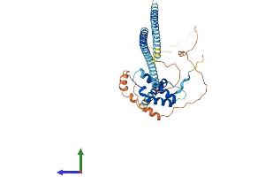 AlphaFold protein structure predicition of Human Recombinant MSANTD4 Protein, UniprotID Q8NCY6 (MSANTD4 Protein (AA 1-345) (His tag))