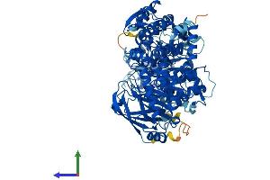 AlphaFold protein structure predicition of Mouse Recombinant Tcaf1 Protein, UniprotID Q8BNE1